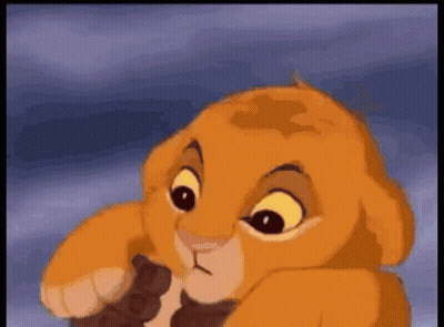 Lion Cub From The Lion King Eating Chocolate GIF