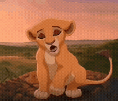 Lion Cub From The Lion King Sitting On Rock With Mouth Open GIF