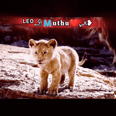 Lion Cub Leo Muthu GIF