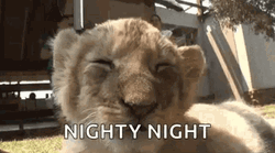 Lion Cub Nighty Night