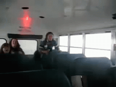 Lion Cub Walking In Field Saying That's Not A Stray That's My Brother GIF