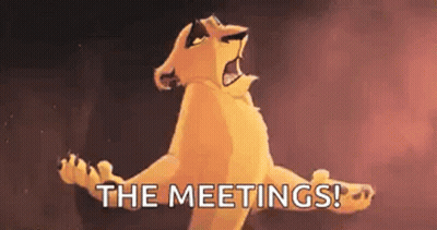 Lion Cub Yelling At Meeting GIF