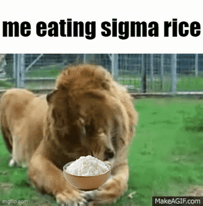 Lion Eating Bowl Of Rice GIF