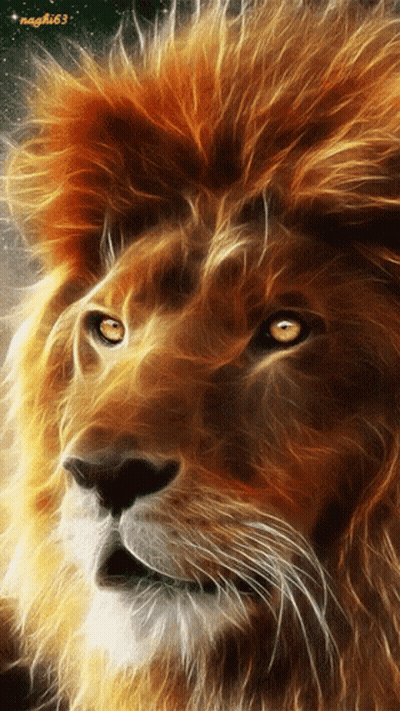 Lion Face Close Up With Number 63 GIF