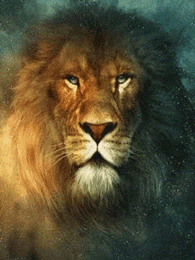 Lion Face With Blue Eyes GIF