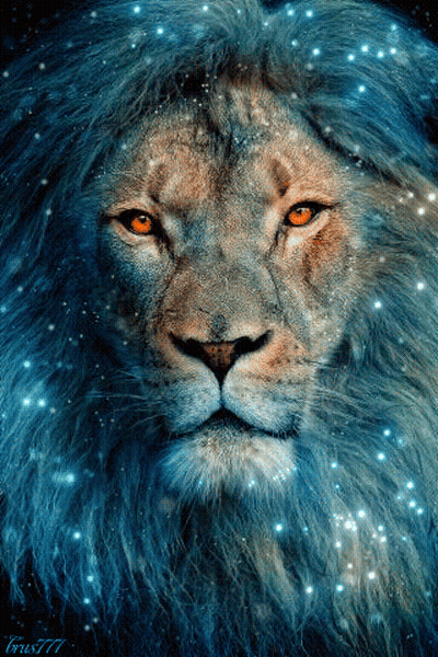 Lion Face With Blue Mane GIF