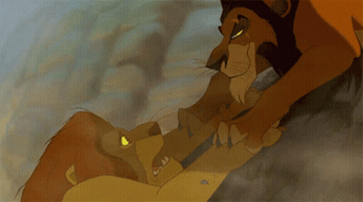 Lion Fighting Yellow-Eyed Lion GIF