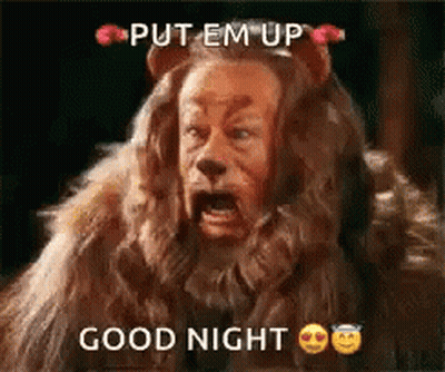 Lion From Wizard Of Oz Screaming Put Em Up Good Night GIF