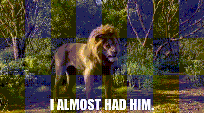 Lion In Forest Saying I Almost Had Him GIF