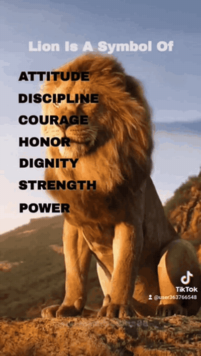 Lion Is A Symbol Of GIF