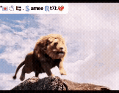 Lion Jumping Over Rock Samee Rtxt GIF