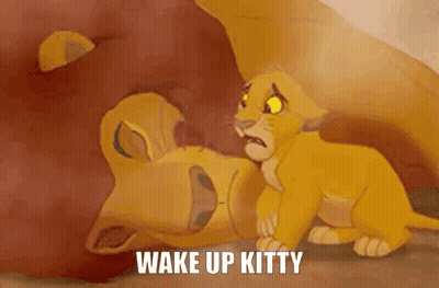 Lion King Lion And Cub Laying On Ground GIF