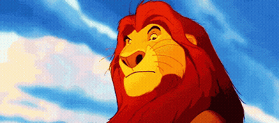 Lion King Lion Looking At Camera With Blue Sky GIF