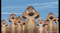 Lion King Meme Adventure GIF