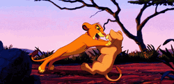 Lion King Meme Couple Fight GIF