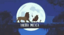 Lion King Meme Hakuna Matata GIF