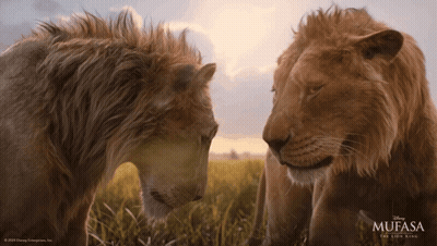 Lion King Poster Monkey Petting Lion GIF