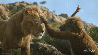 Lion King Poster Monkey Petting Lion GIF