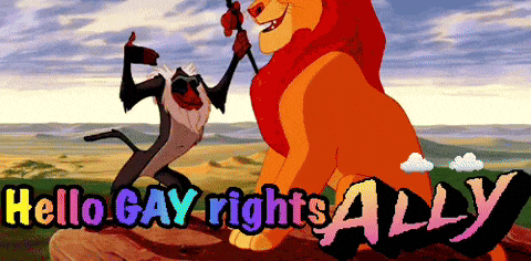 Lion King Poster Saying Hello Gay Rights GIF