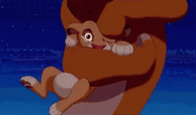 Lion King Saying I Don't Wanna Talk About It GIF