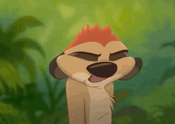 Lion King Timon Meerkat Come Again GIF