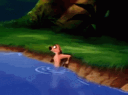 Lion King Timon Meerkat I'm Out GIF
