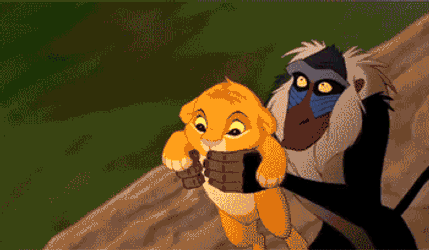 Lion King Yeet GIF