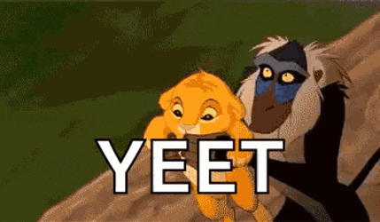 Lion King Yeet GIF