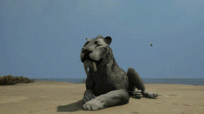 Lion Laying On Sand No No No GIF
