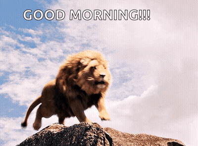 Lion On Rock Saying Good Morning GIF