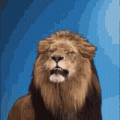 Lion On Rock Saying Good Morning GIF