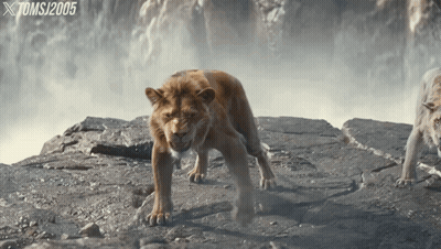 Lion On Rocky Cliff Xtomsj2005 GIF
