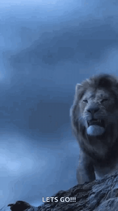 Lion On Rocky Hill Saying Let's Go GIF
