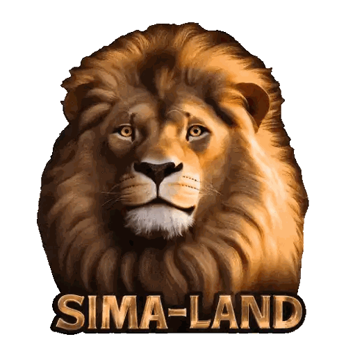 Lion Painting With Sima Land Sticker
