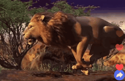 Lion Running From Bull With Facebook Like Button GIF