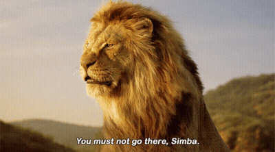 Lion Saying You Must Not Go There Simba GIF