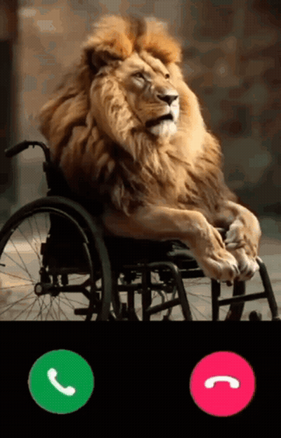 Lion Sitting On Hill Saying Papi You Da King GIF