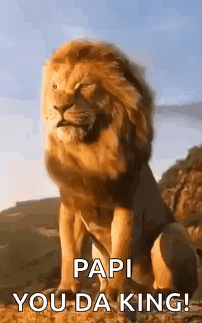 Lion Sitting On Hill Saying Papi You Da King GIF