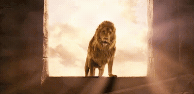 Lion Standing On Building Edge Looking Out Window GIF