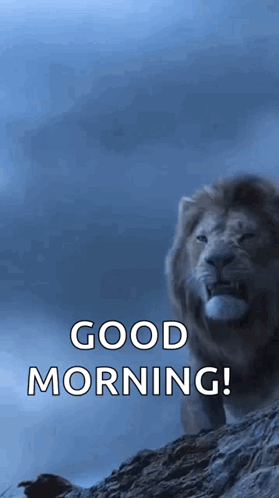 Lion Standing On Rock With Good Morning GIF