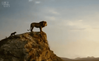 Lion Standing On Rocky Cliff With Cub GIF