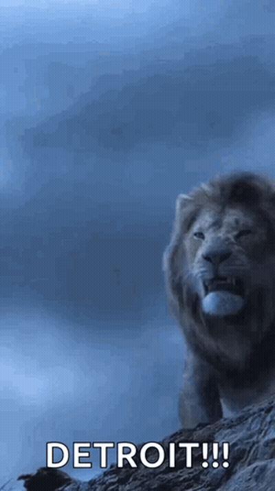 Lion Standing On Rocky Hill Detroit GIF