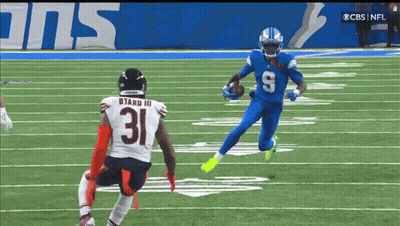 Lion Stands In Front Of Crowd Go Lions Go GIF