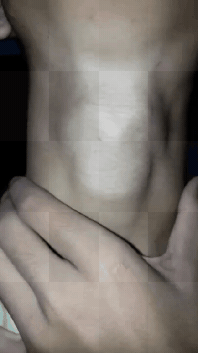 Lion Statue Laying On Back In Front Of House GIF
