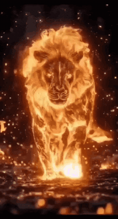 Lion Walking Through Fire GIF