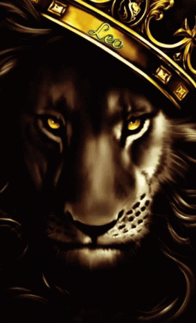 Lion Wearing Crown Leo GIF