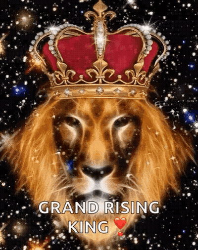Lion Wearing Crown Saying Grand Rising King GIF