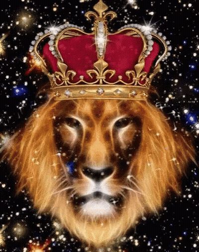 Lion Wearing Red And Gold Crown With Starry Background GIF
