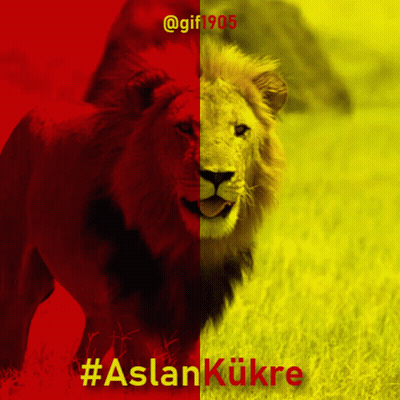 Lion With Aslankukre Text GIF