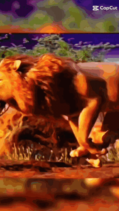 Lion With Capcut Caption GIF